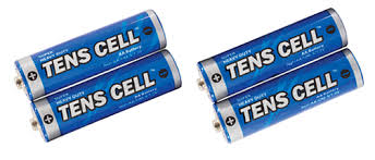 AA Alkaline Batteries -2/pk