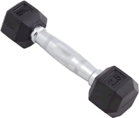Body Sport Rubber Encased Hex Dumbbell 2.5Lbs - BDSRSDB025
