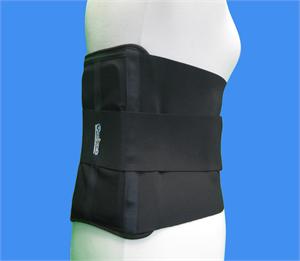 L0631 LSO Back Brace - One Back L06311