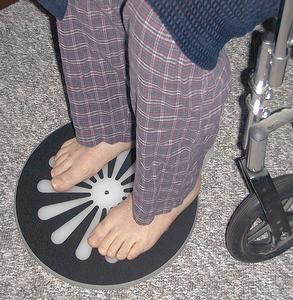 Mobility Transfer Systems SafetySure Pivot Disc, 13" diameter - RI5081